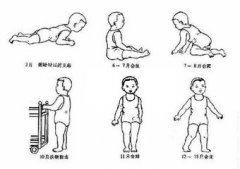 儿童生长发育测试仪品牌之儿童生长发育规律