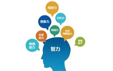 儿童智力检测仪谈儿童智力迟缓的表现