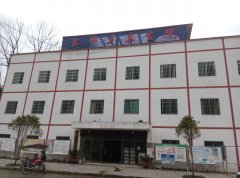 人体微量元素分析仪采购单位长坪镇卫生院