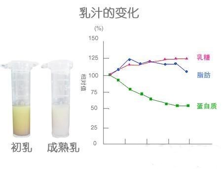 超声母乳分析仪检测母乳蛋白质含量最高的阶段—山东国康