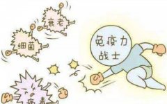微量元素分析仪厂家浅谈免疫力有多重要