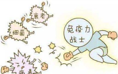 微量元素分析仪厂家浅谈免疫力有多重要—山东国康