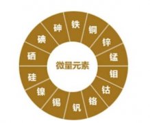 微量元素分析仪厂家解析微量元素居然有这么神奇的作用