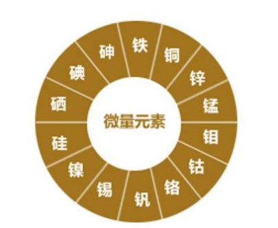 微量元素分析仪厂家解析微量元素居然有这么神奇的作用—山东国康