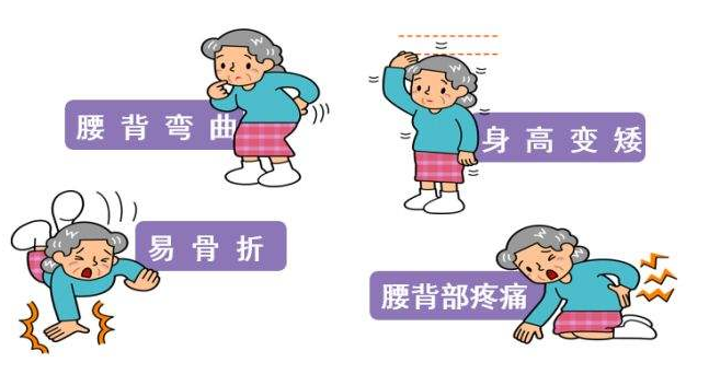 超声骨密度仪分析骨密度低的原因