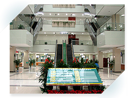 医院门诊用超声骨密度仪应用于南京市江宁医院 医院门诊用超声骨密度仪应用于南京市江宁医院