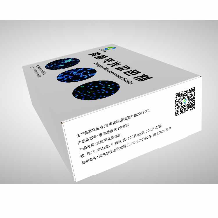 新一代真菌荧光染色试剂：更清晰、更快速、更易用