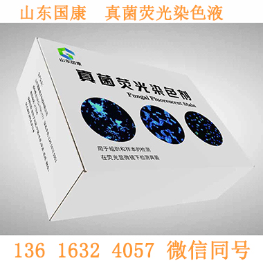 真菌荧光染色液试剂厂家医用试剂规格与报价介绍