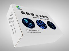 真菌荧光染色液/真菌荧光检测试剂