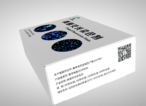 真菌荧光染色液/真菌荧光检测试剂
